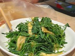 炝拌腐竹丝瓜尖-杨氏青龙虾·羊蝎子(珠江路店)