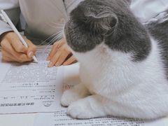 -谐和贝康宠物医院24小时·宠保定点(急重症转诊中心)