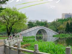 -映月湖公园