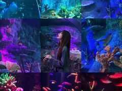 -沈阳海洋探索中心