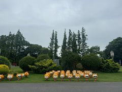 -上海长兴岛郊野公园