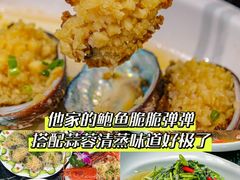 -椰梦长廊