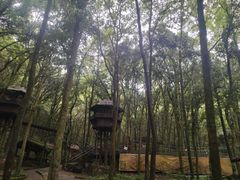 -富春桃源风景区
