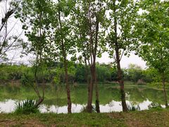 -白鹭湾湿地公园