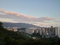 -金鸡山公园