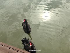 -南大港湿地风景区