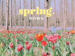 -东平国家森林公园
