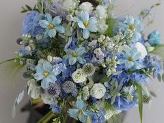 -Gigi Florist·Dk Coffee