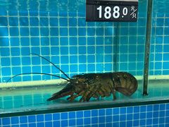 -兆辉木炭海鲜烧烤·海鲜小炒