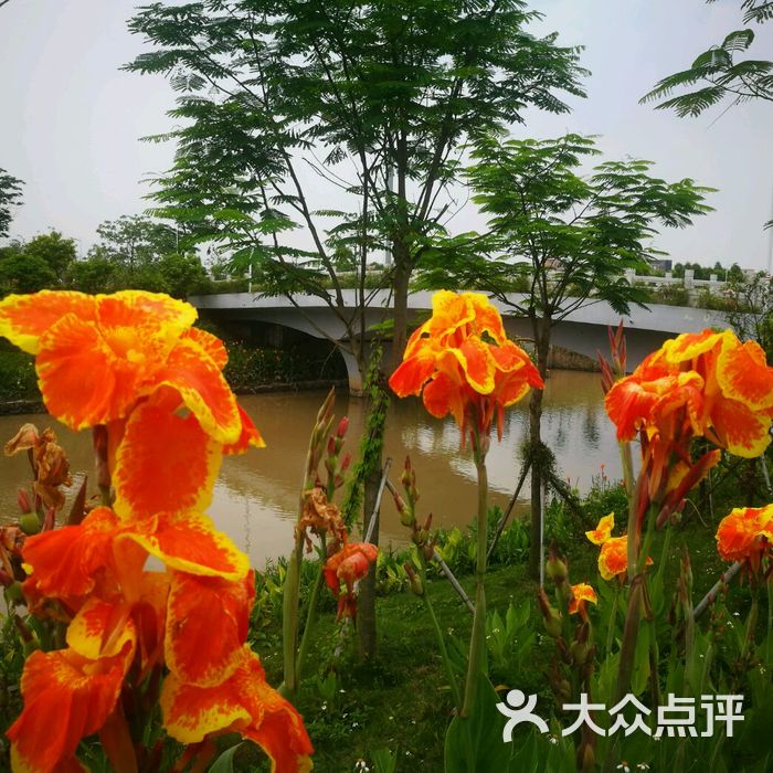 花都湿地公园