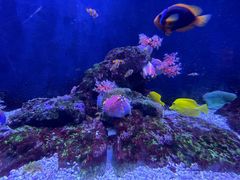 -成都浩海立方海洋公园