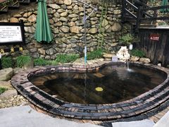 -天明山温泉大酒店