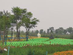 -洪湖湿地生态园