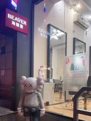 -798·beaver海狸荟