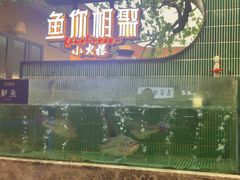 -鱼你相聚·河鲜馆(袁家岭店)