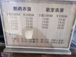 -未来动物城动物主题公园(大悦城店)