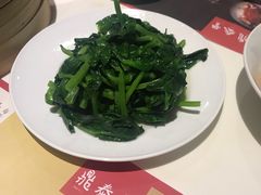 清炒豆苗-鼎泰丰(渔阳店)