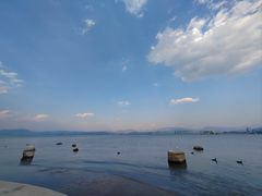-洱海月湿地公园