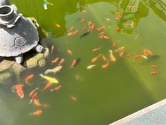 -西安大唐西市博物馆