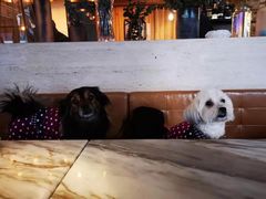 -the rug 飞毯 (朝阳公园店)
