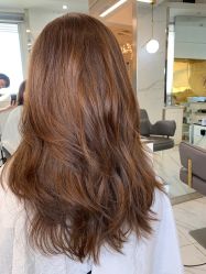 -潘多拉Hairsalon