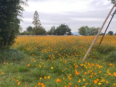 -良渚古城遗址公园