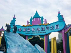 -海合安成都极地海洋公园
