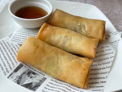三丝春卷-新南华大酒店(长寿店)