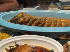 -阿五黄河大鲤鱼(英协路店)