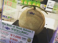 -中部国际机场
