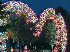 -长白岛森林公园