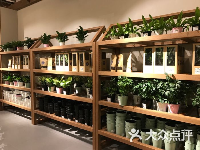 鹿岛-图片-武汉购物-大众点评网