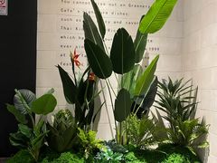 -绿茵阁(江南西路店)