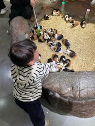 -造物庄园 萌宠纪(苏州湾歌林公园店)