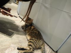 -小时光咖啡馆(开森度假森林店)