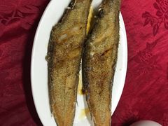-蛇口康乐快餐鱼仔档(翠苑小区店)