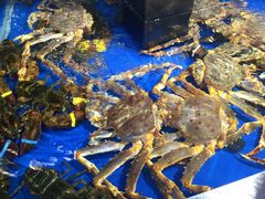 -盒马鲜生(莱蒙都会店)