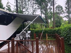 -崇明东平国家森林公园烧烤房车露营地