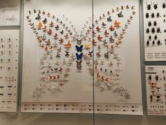 -四川大学博物馆