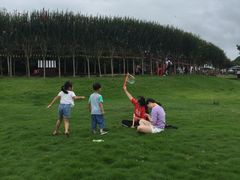 -武汉紫薇都市田园