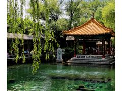 -趵突泉景区