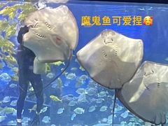 -重庆欢乐海底世界