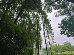 -新洲生态园