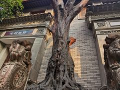 -龙潭水乡