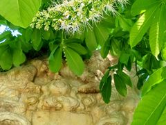 -北京石刻艺术博物馆(五塔寺)