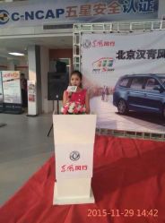 漂亮的主持人，汽车宣传-雅奇婚庆(永乐园社区店)