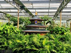 -南宫五洲植物乐园