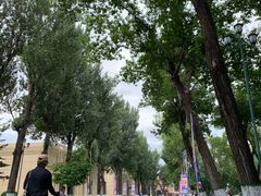 -哈尔滨文化公园