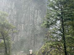 -刘伯温故里景区百丈漈