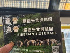 -横道河子东北虎林园